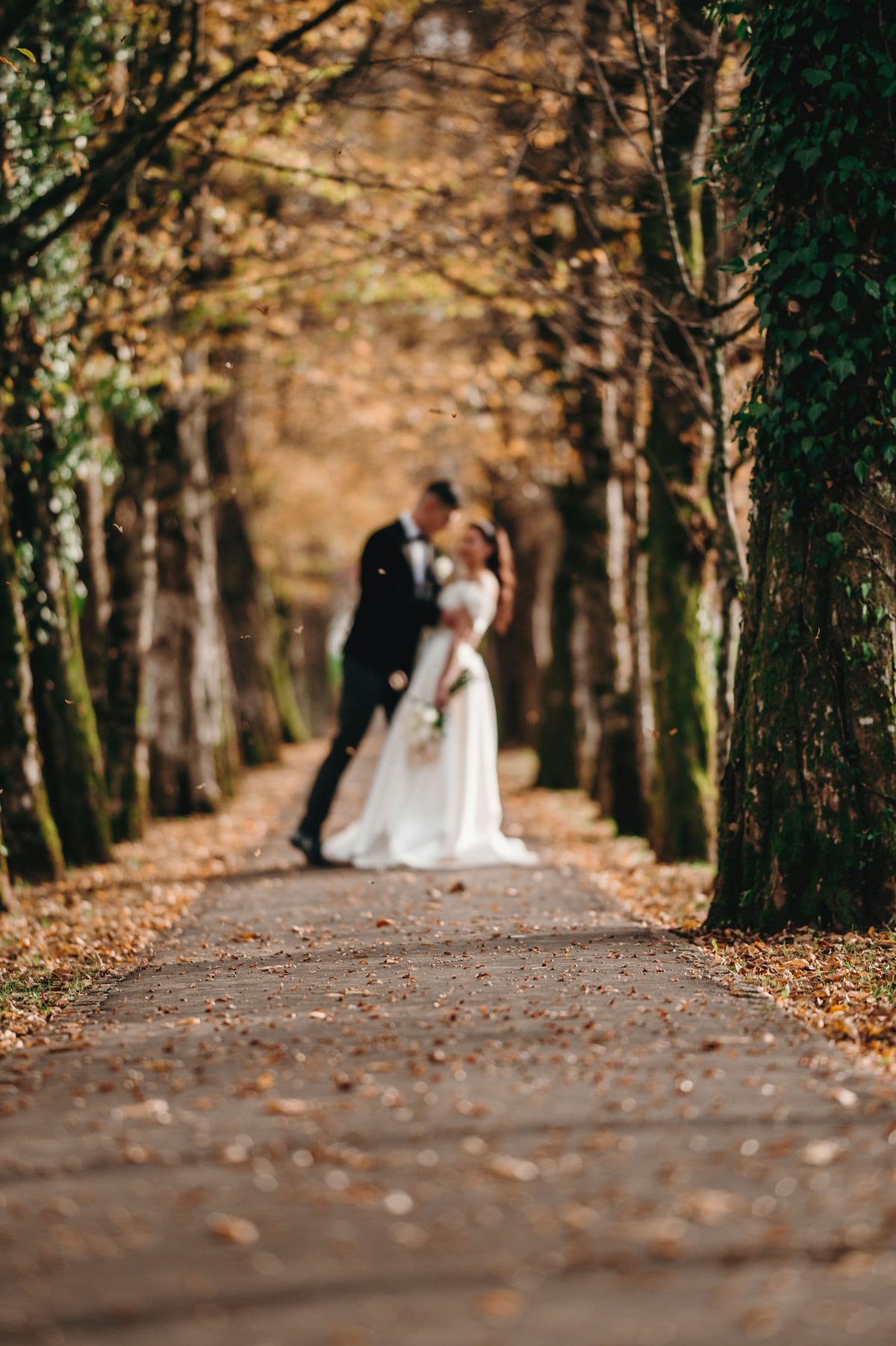Selma & Mersim wedding, photo 22