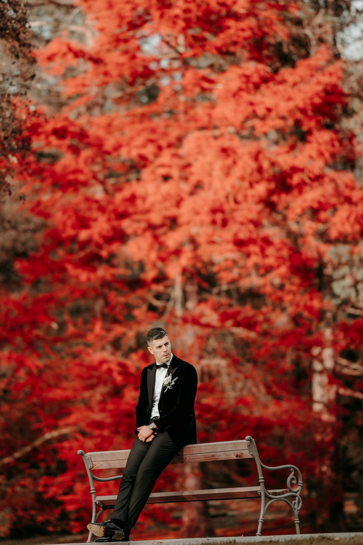 Selma & Mersim wedding, photo 28
