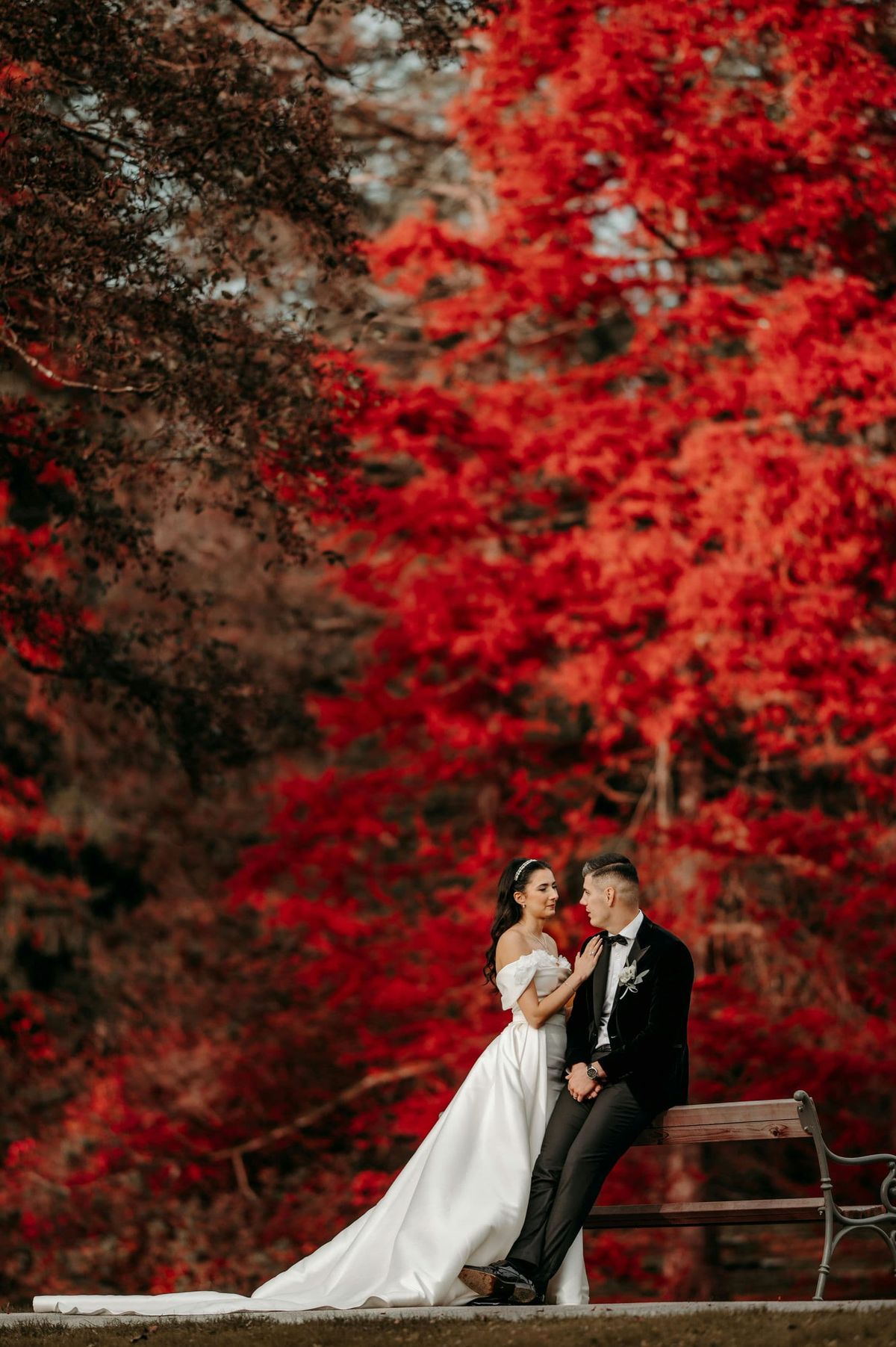 Selma & Mersim wedding, photo 29