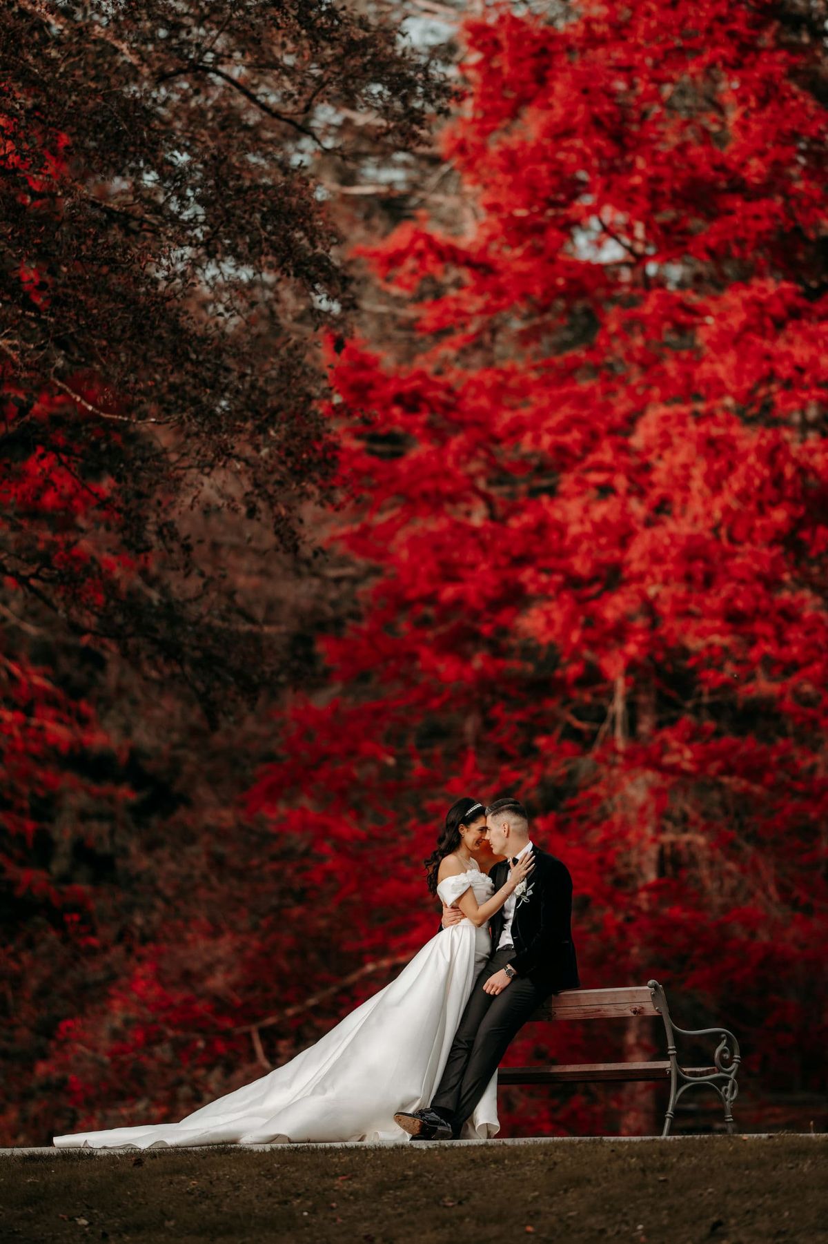 Selma & Mersim wedding, photo 30