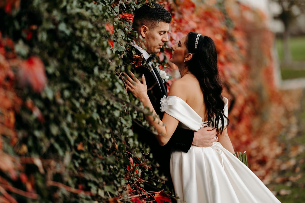 Selma & Mersim wedding, photo 59
